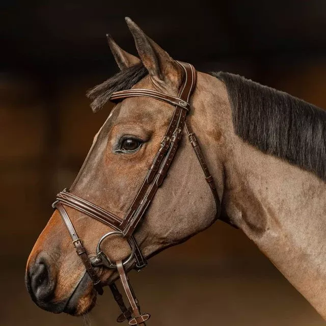 Pro Line Bridle Milano