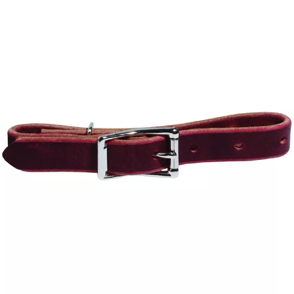 Professional's Choice 3/4" Cinch Hobble Strap