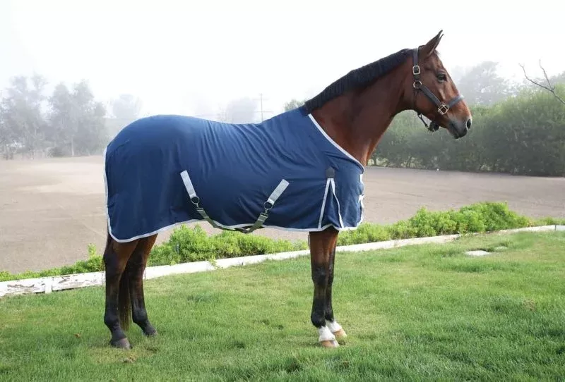 Professionals Choice Cotton Day Sheet