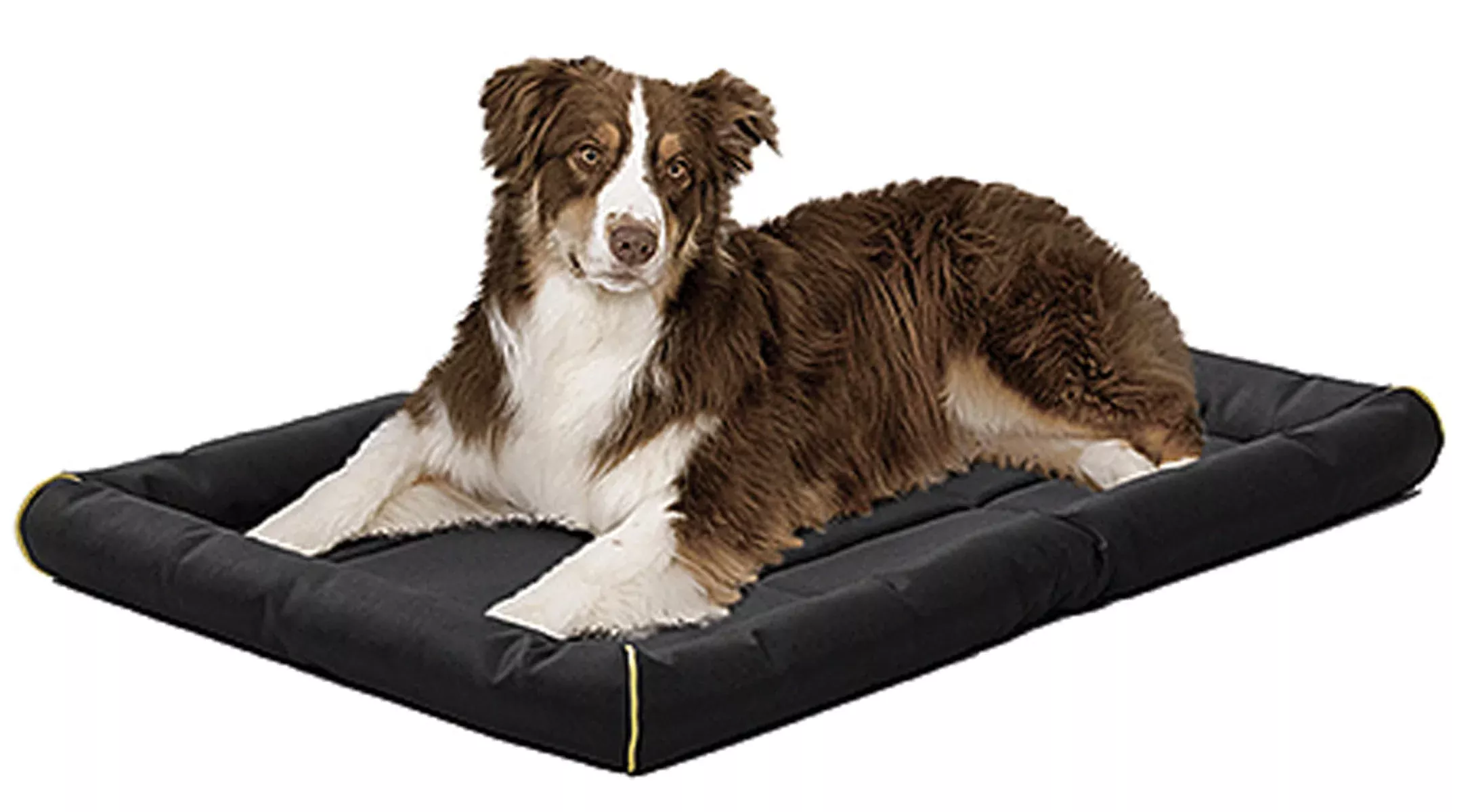Quiet Time Maxx Ultra-rugged Pet Bed 24x18 IN Black