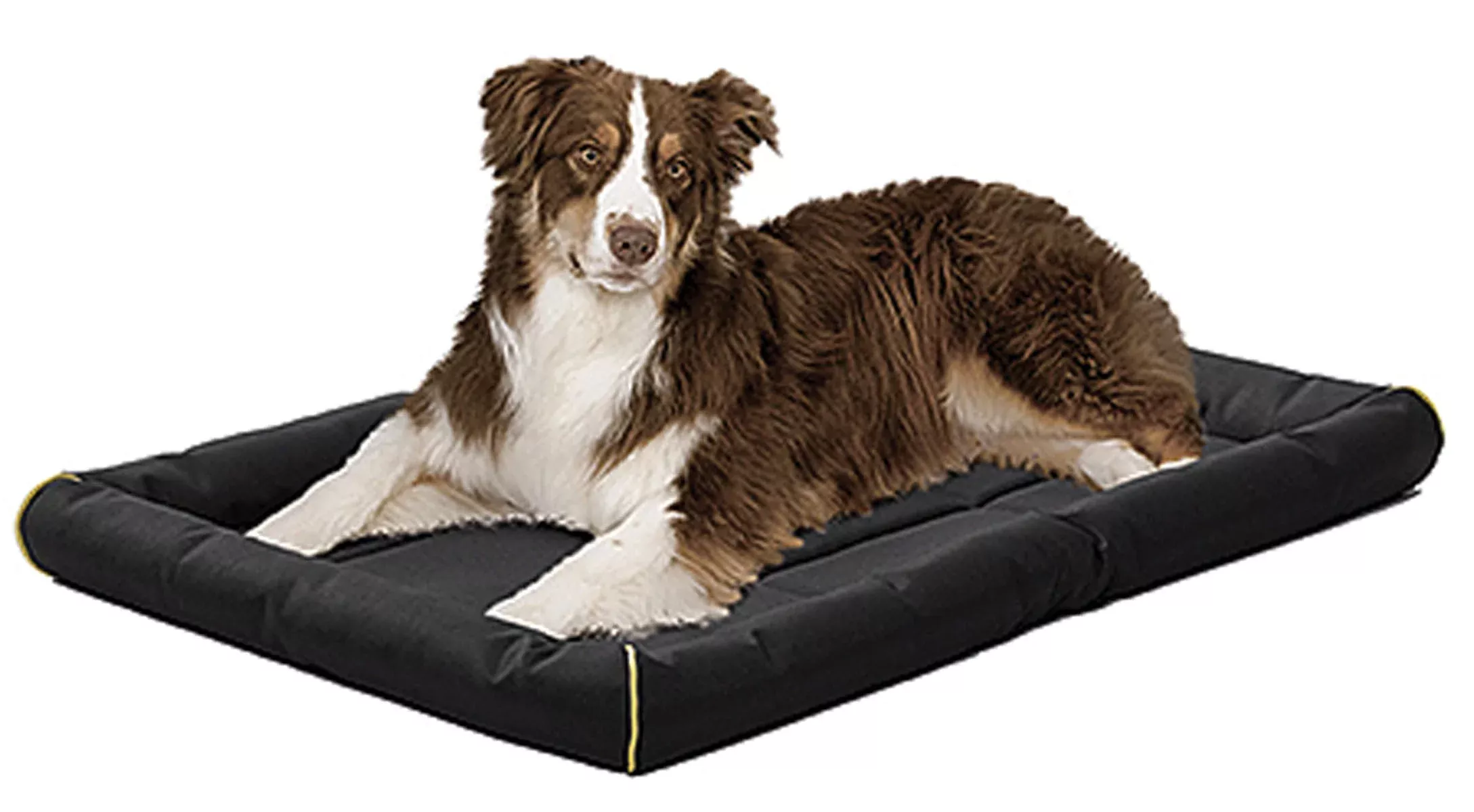 Quiet Time Maxx Ultra-rugged Pet Bed 36x24 IN Black