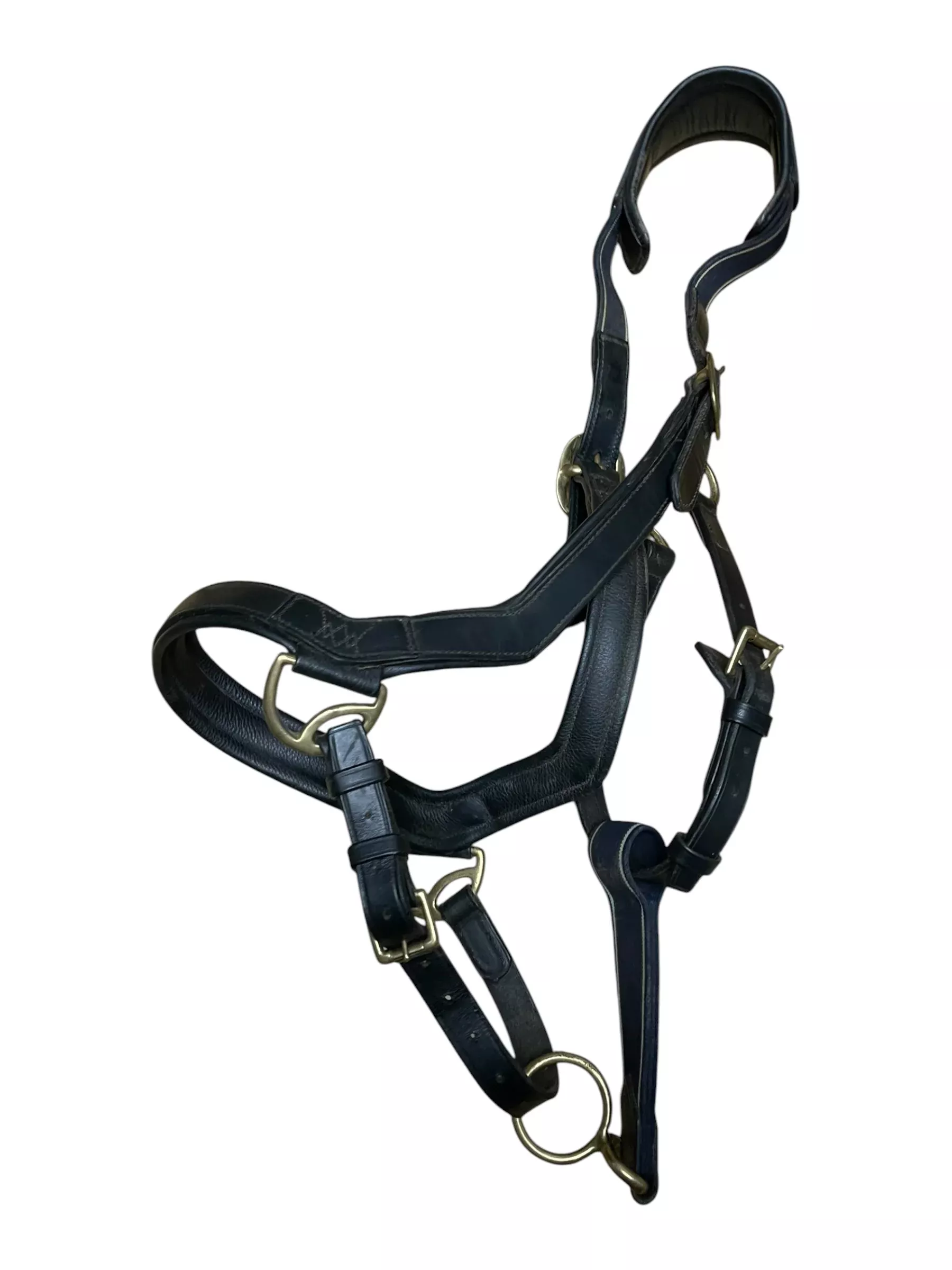 Rambo Micklem Halter - Brown - Large Horse - USED