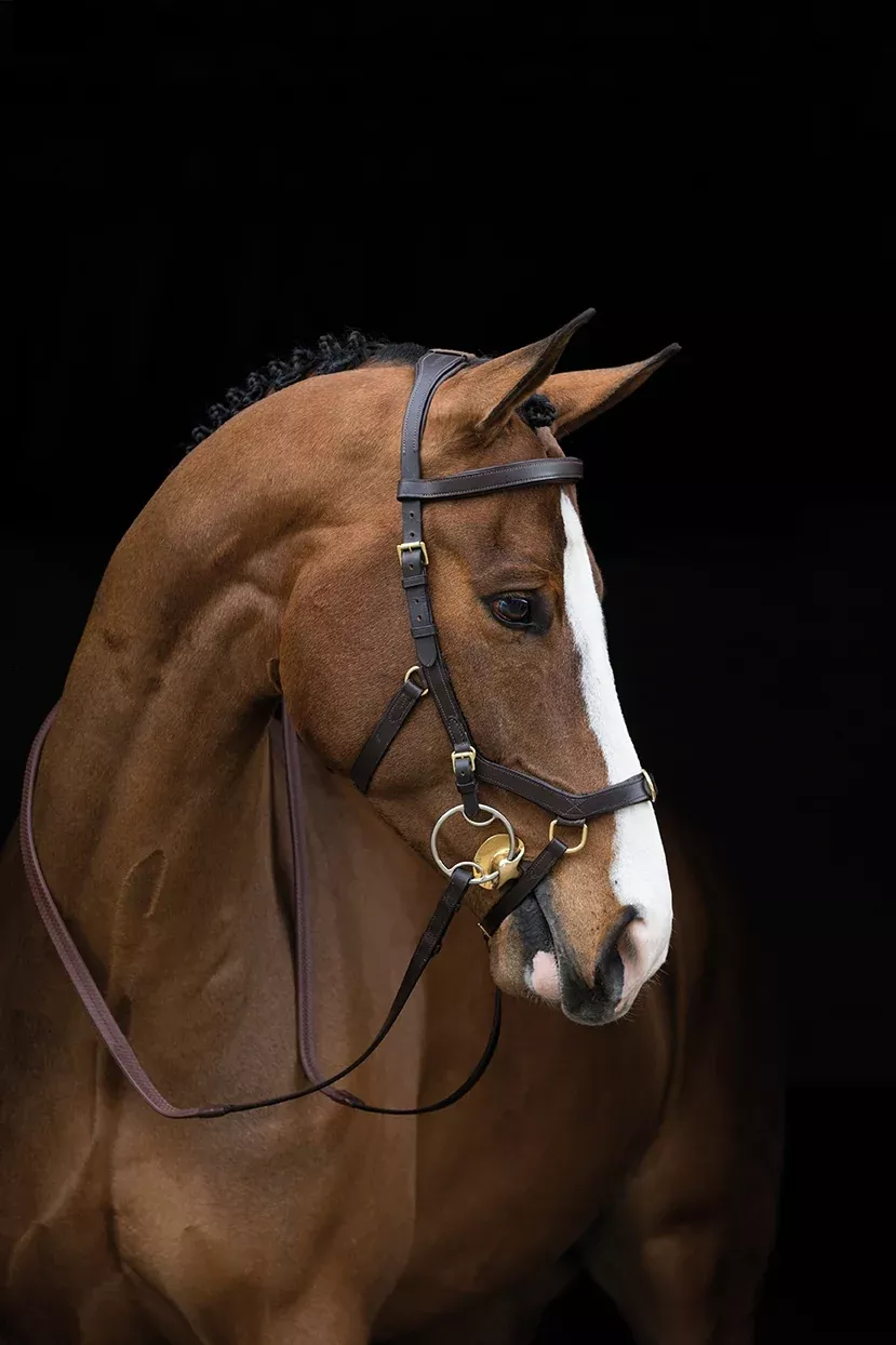 Rambo Micklem Multi Bridle