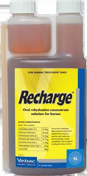 Recharge Horse