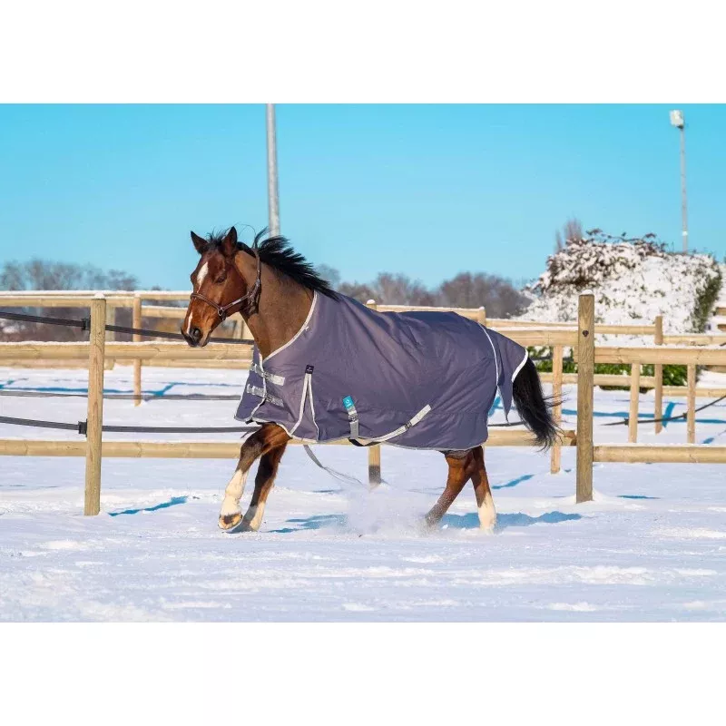 Recycled Turnout Rug Tyrex 1200D