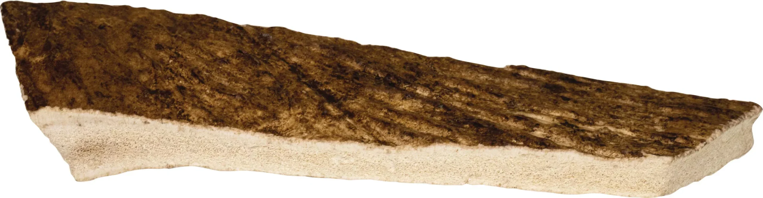 Redbarn Moose Antler Cut Dog Chew, XL, 5.2 oz
