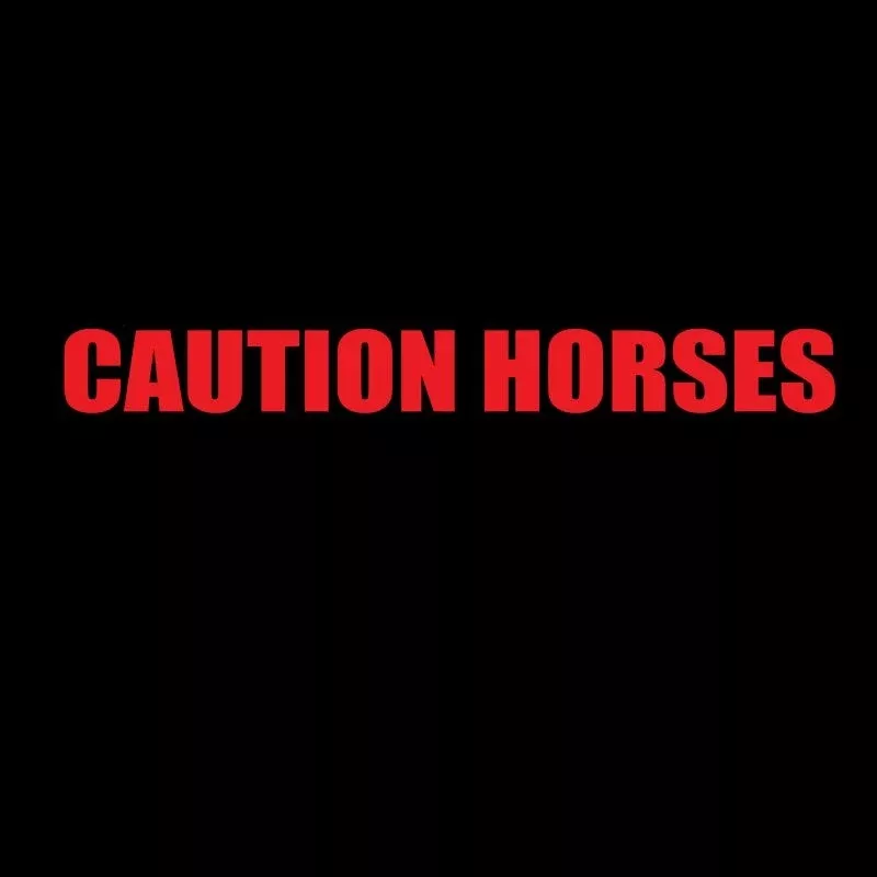 Reflective Trailer Decal - Caution Horses