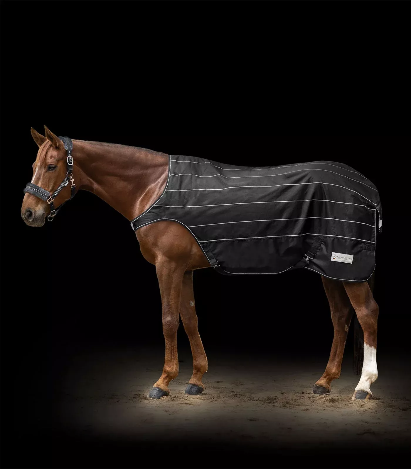 Reflex Reflective Walker Rug