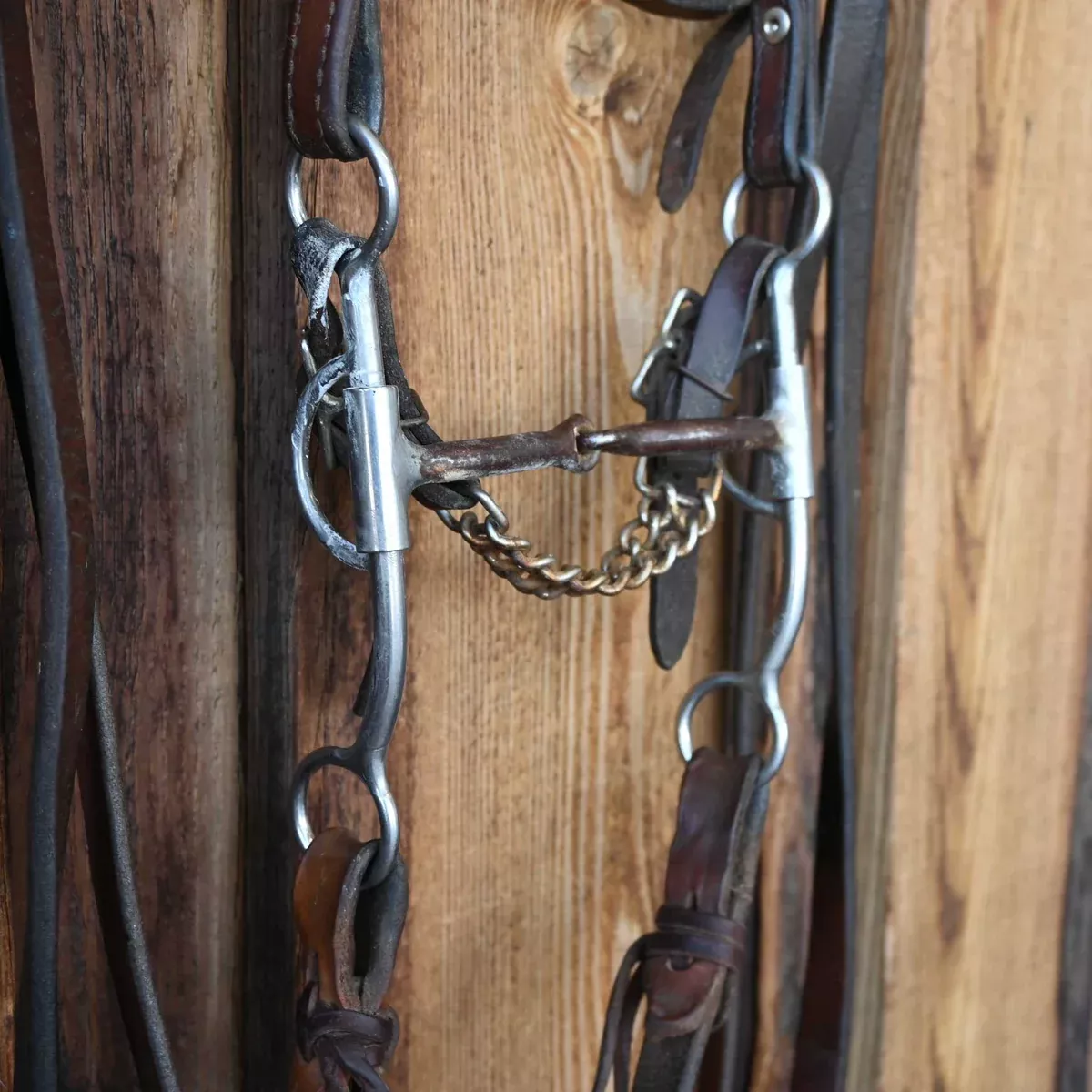 Reinsman Snaffle Bridle Rig