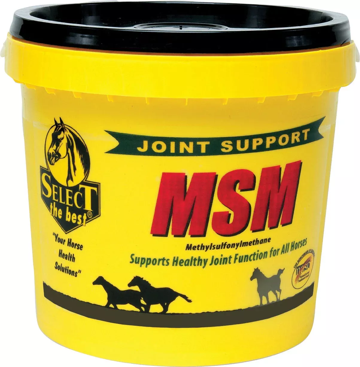 Richdel MSM Powder Joint Support for Horses, 20 lb
