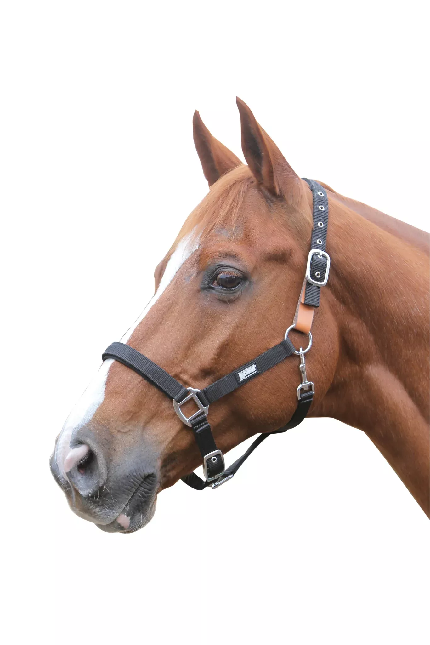 Roma Breakaway Halter – Full