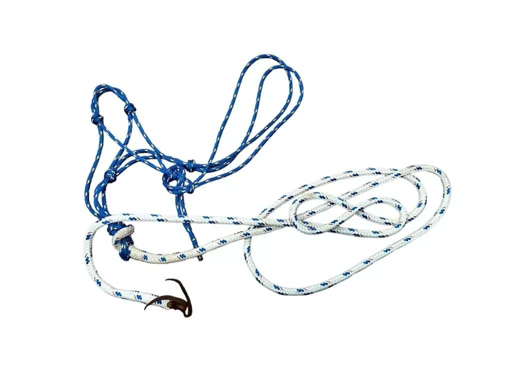 Rope Halter and Lead - Blue and White - USED