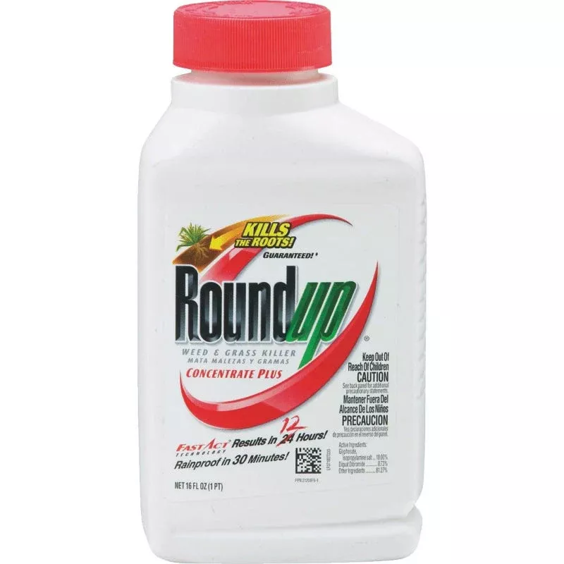 Roundup Weed & Grass Killer, 16 oz