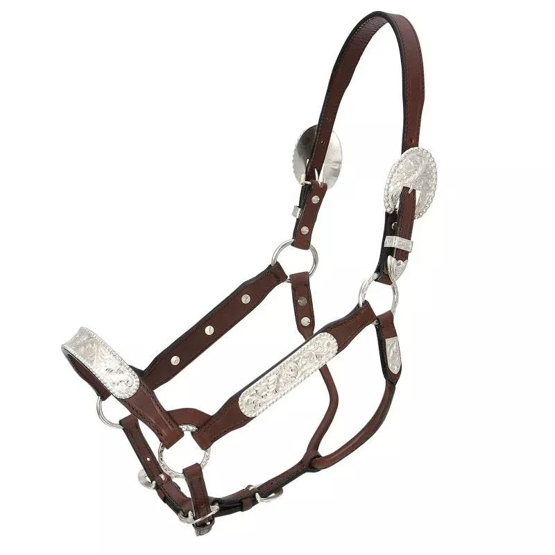 Royal King Congress Show Halter