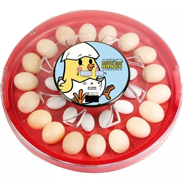 Rugged Ranch Rugg'Egg' Ranch Incubator, 30 Egg