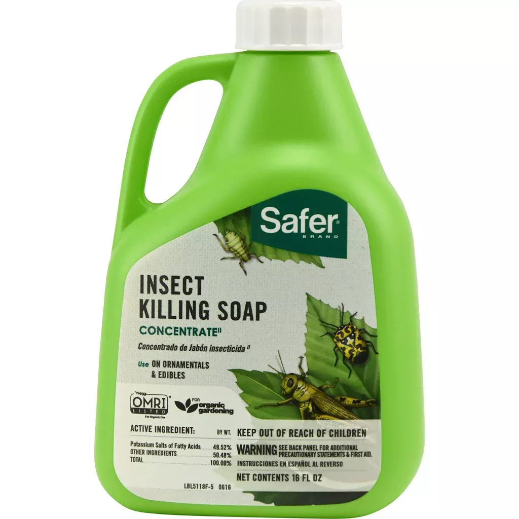 Safer Insect Soap, 16 oz