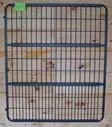 Scenic Road Stall Gate with Hinges, No Yoke, 52 x 62 in, Black