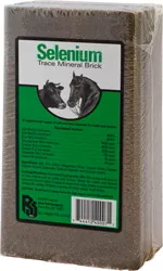 Selenium Trace Mineral Salt Block – 4 lb, Selenium