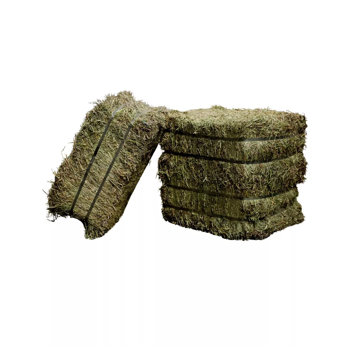 Semican PURE Timothy Hay – 1st Cut, 70 lb Compressed Bale