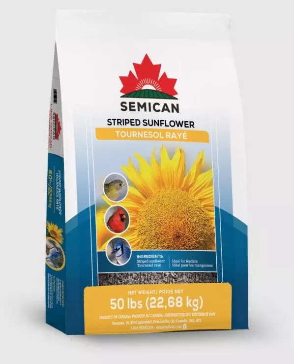 Semican Striped Sunflower Wild Bird Food, 50 lb
