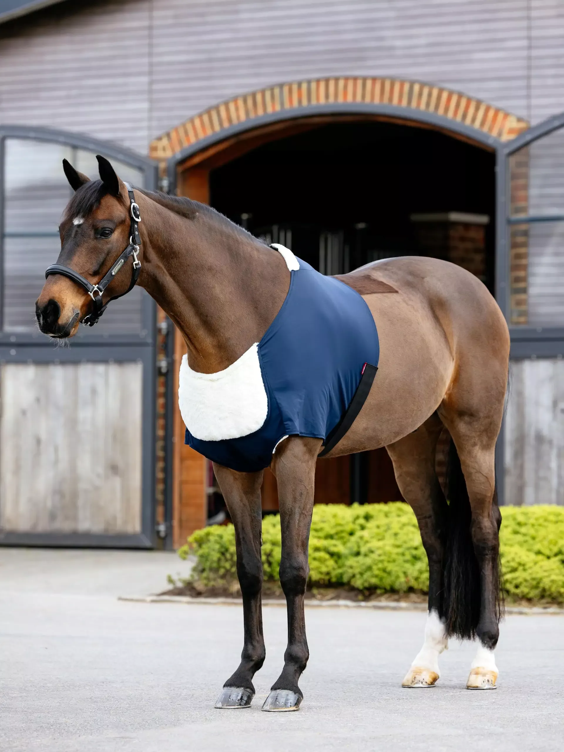 Sensitive Anti Rub Chest Protector - Navy