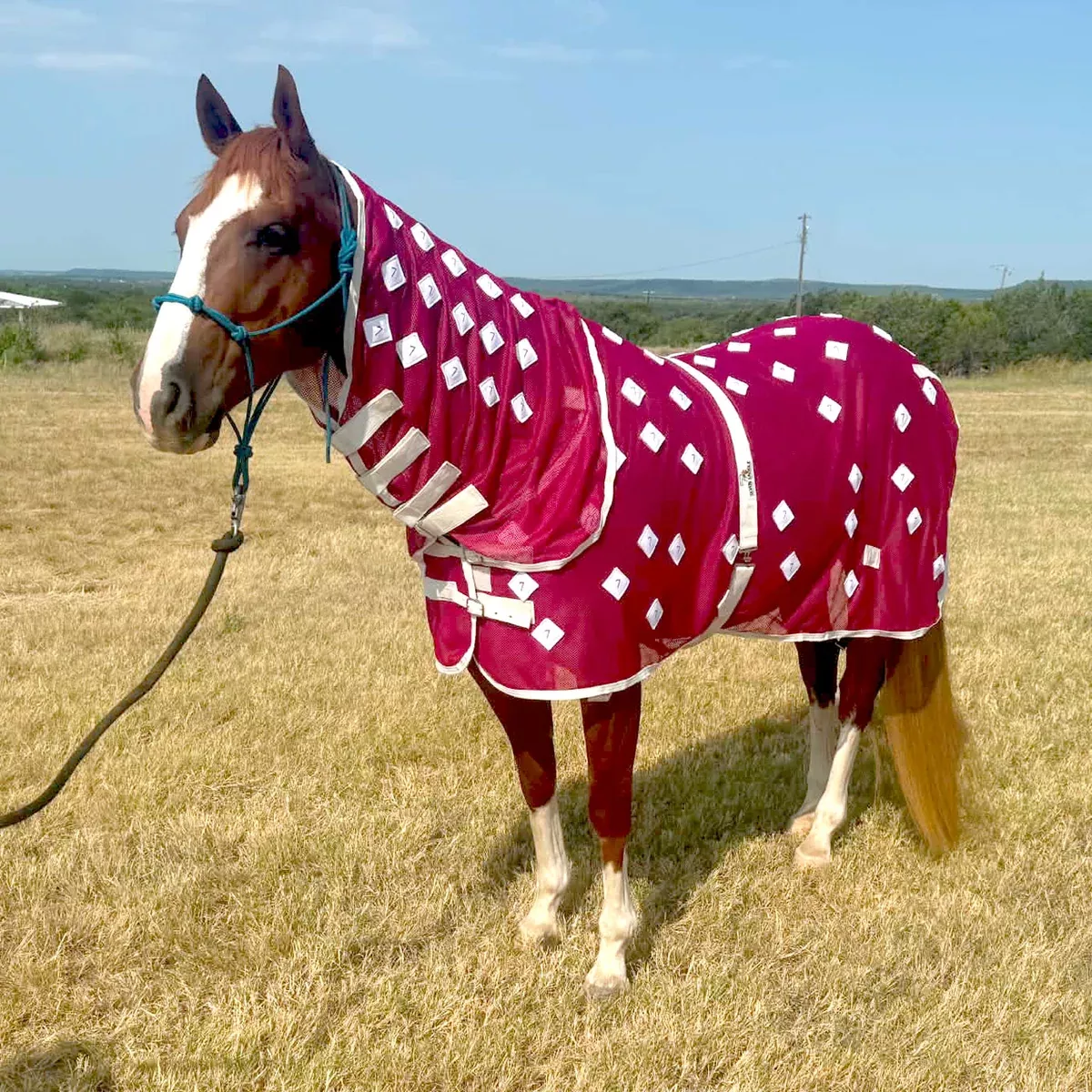 Seven Saddles Premium Magnetic Therapy Blanket