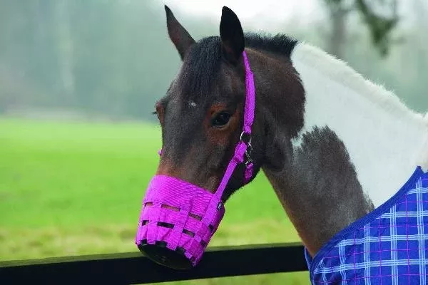 Shires Nylon Grazing Muzzle