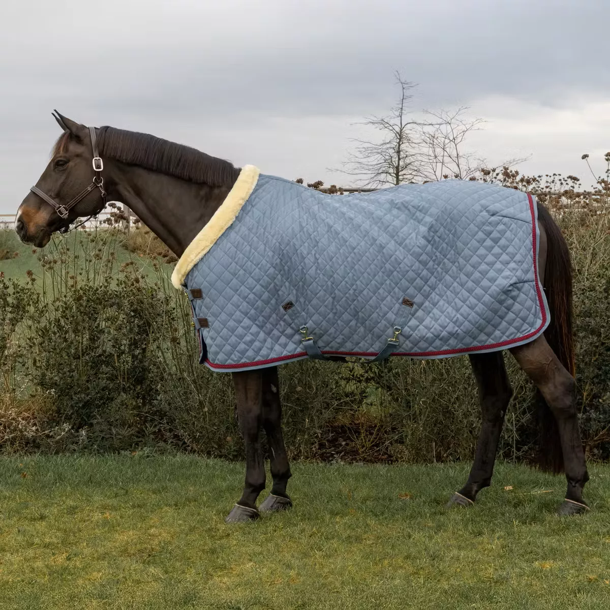 Show Rug with Braided Rope