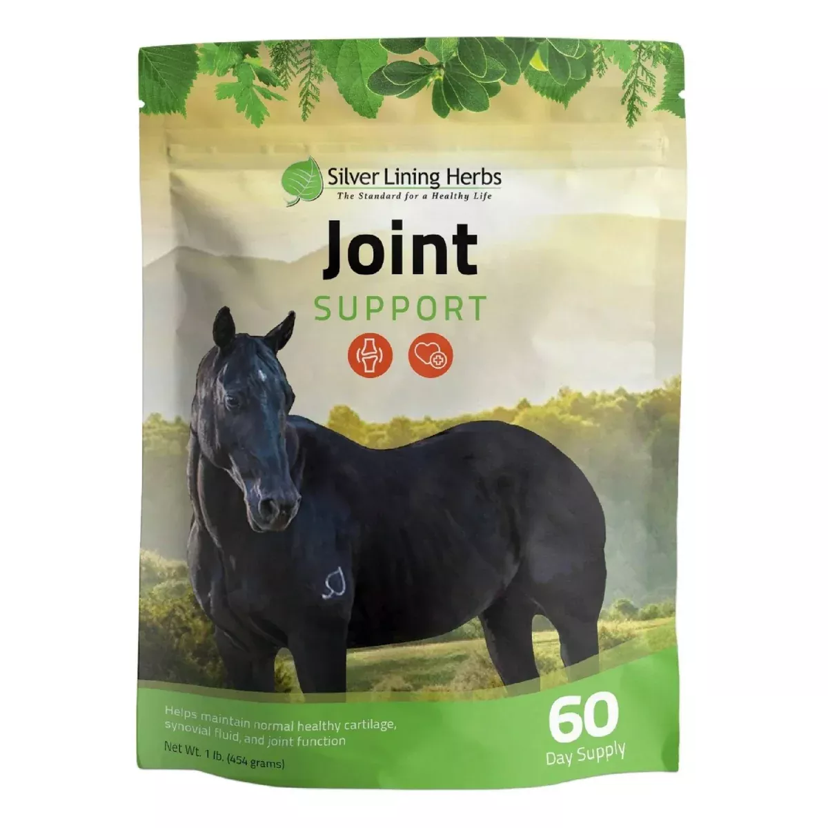 Silver Lining Joint Support