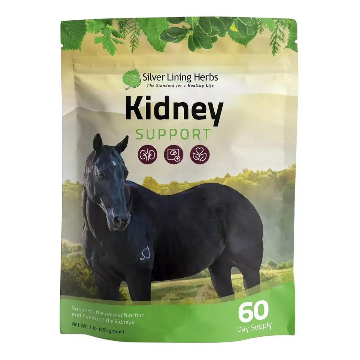 Silver Lining Kidney Support