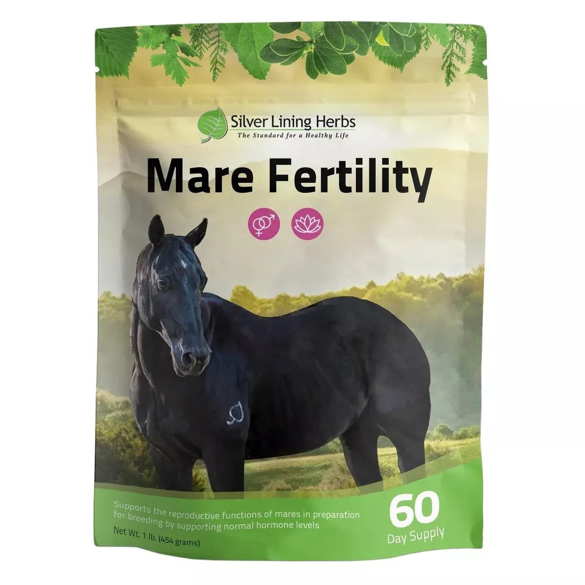 Silver Lining Mare Fertility