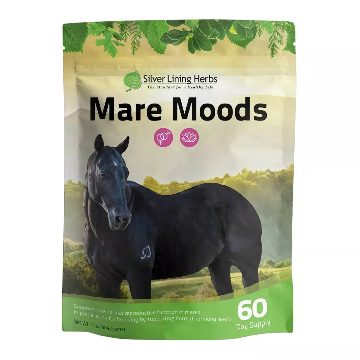 Silver Lining Mare Moods