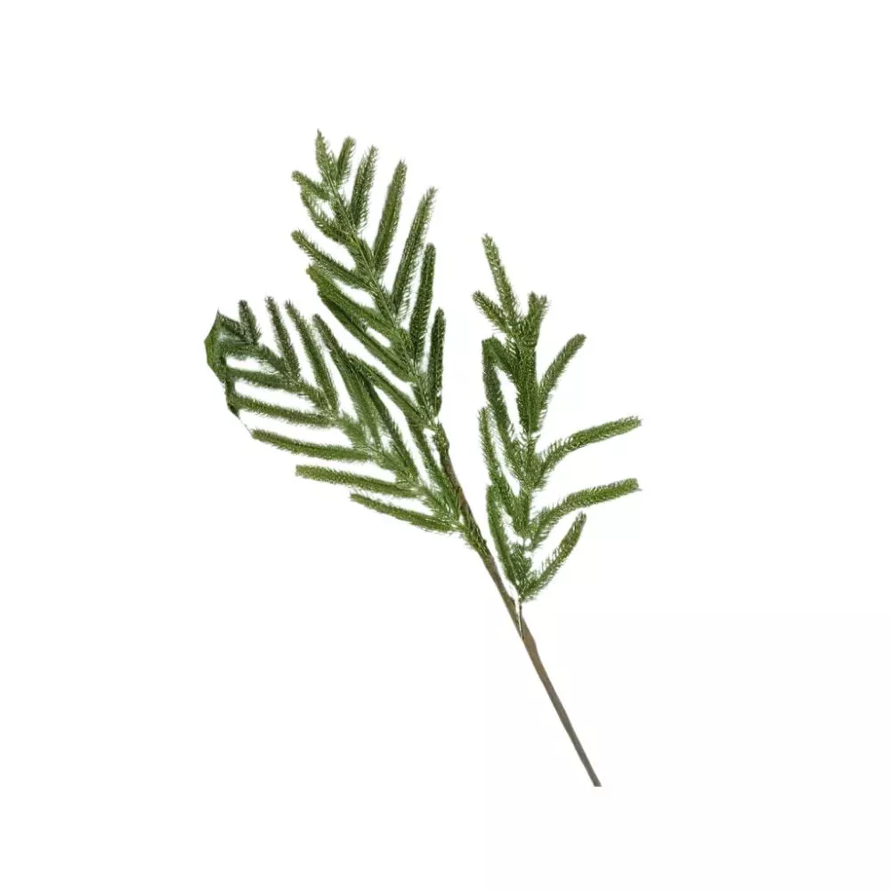 Small Norfolk Pine Faux Stem