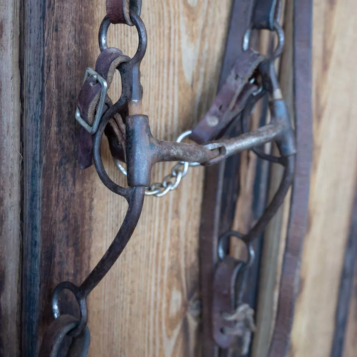 Snaffle Bridle Rig