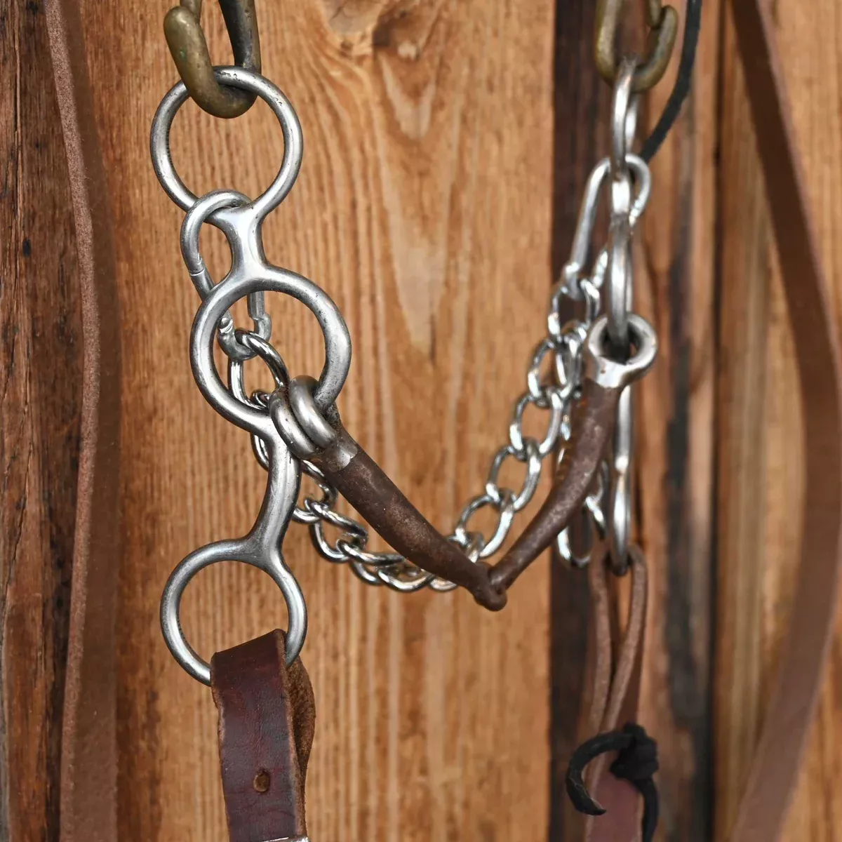 Snaffle Circle Gag Bridle Rig