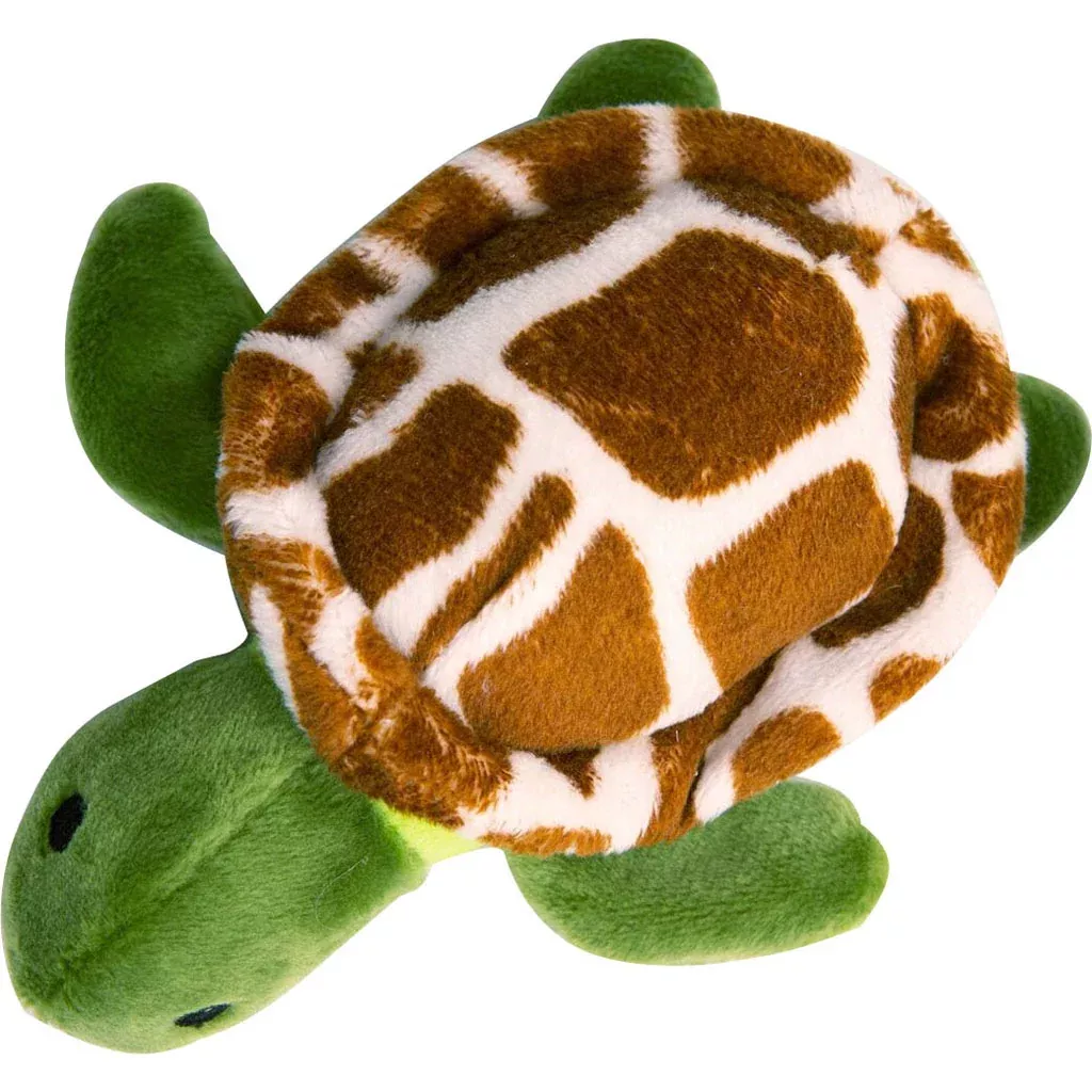 Snugarooz Baby Shelldon the Turtle Dog Toy, Green, 5 in