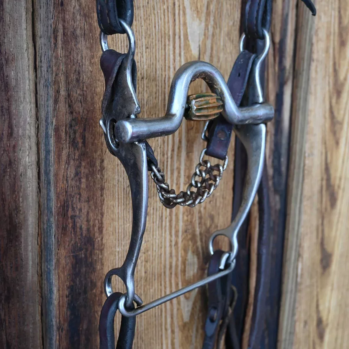 Solid Port Bridle Rig