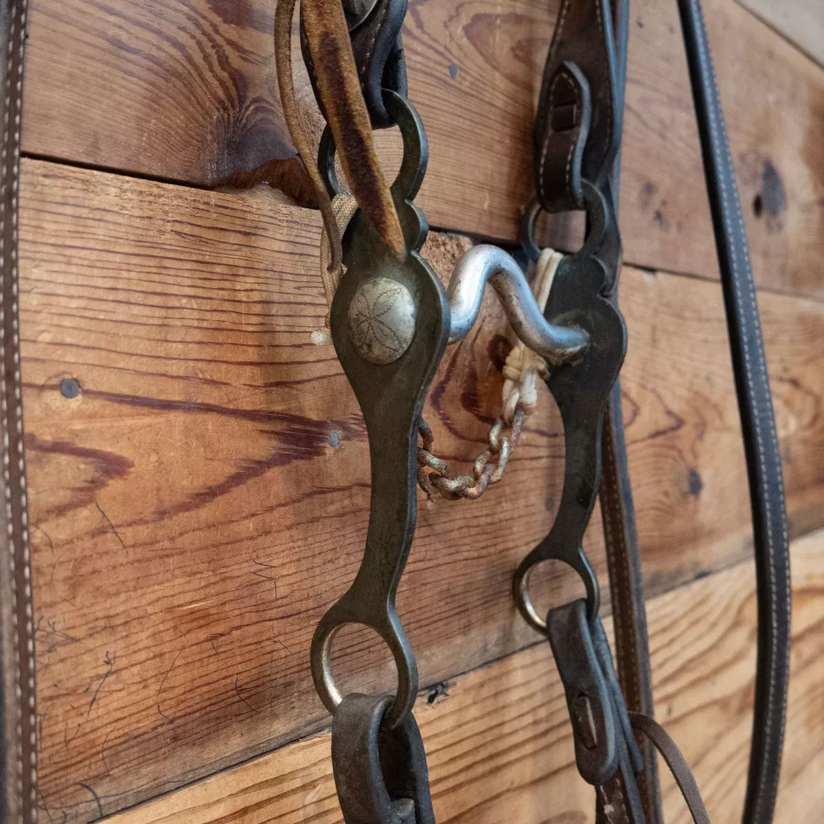 Solid Port Correction Rig w/Single Ear Headstall