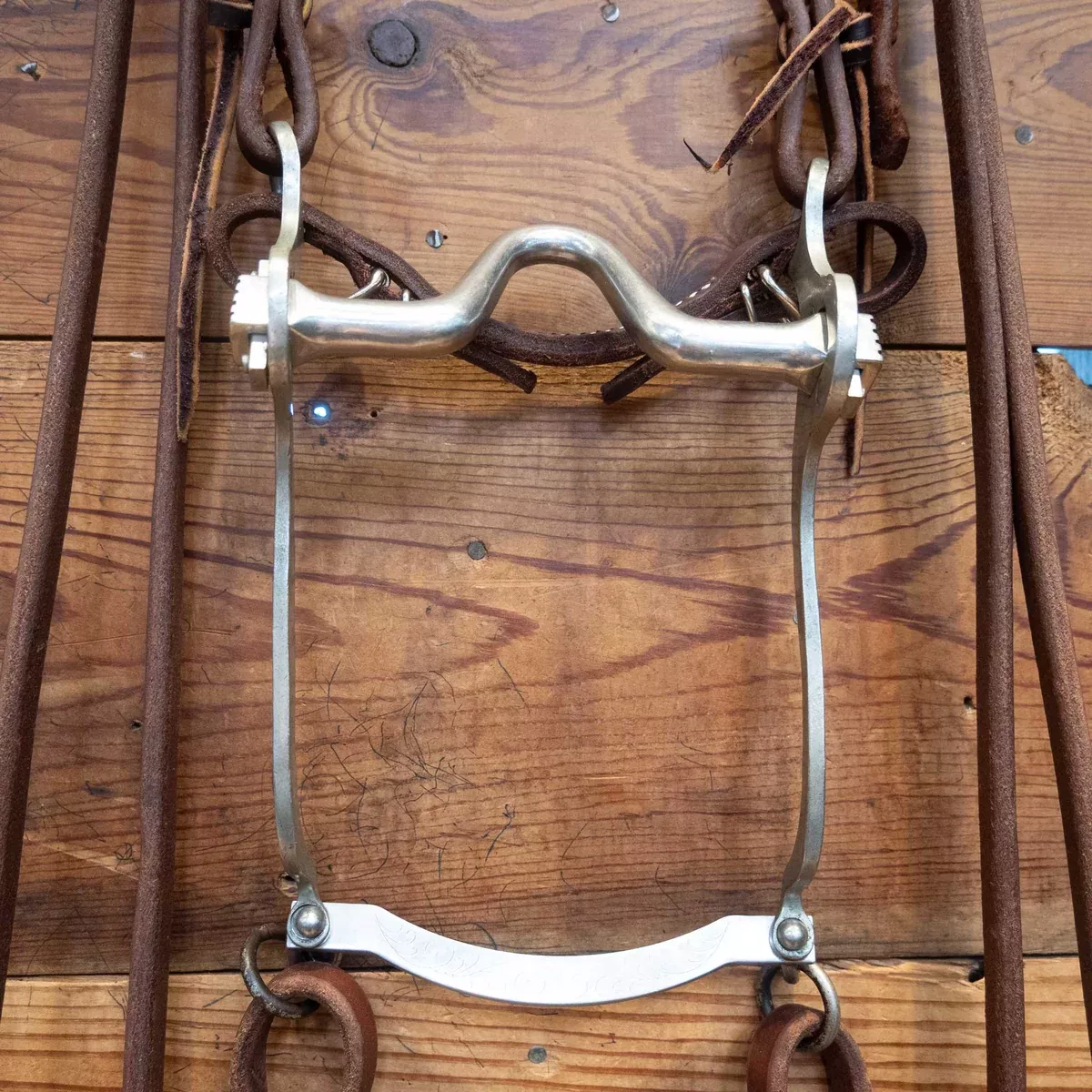 Solid Port Rig w/Single Ear Headstall