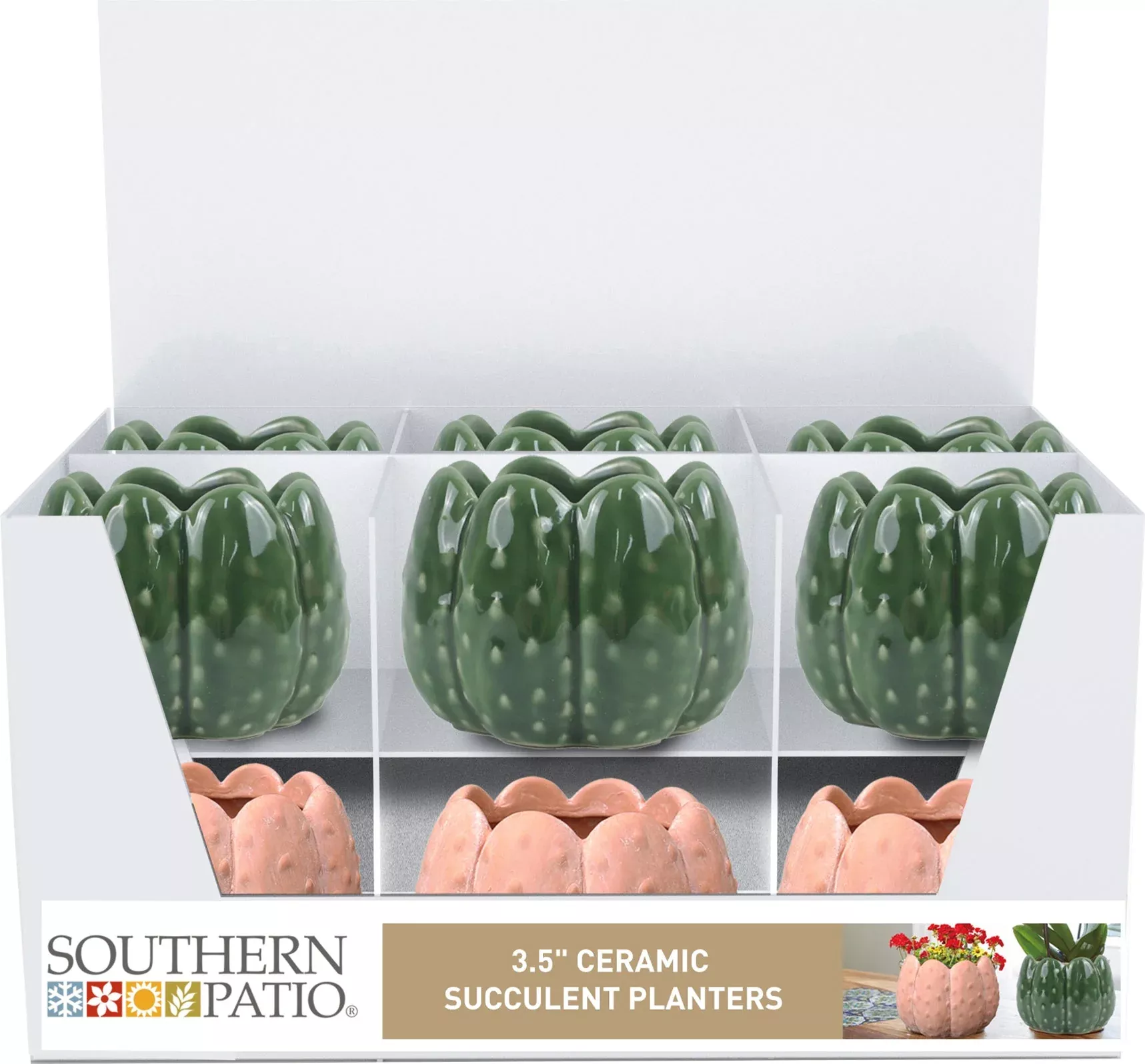 Southern Patio Wilder Cactus & Succulent Tray Pack, 3.5 in