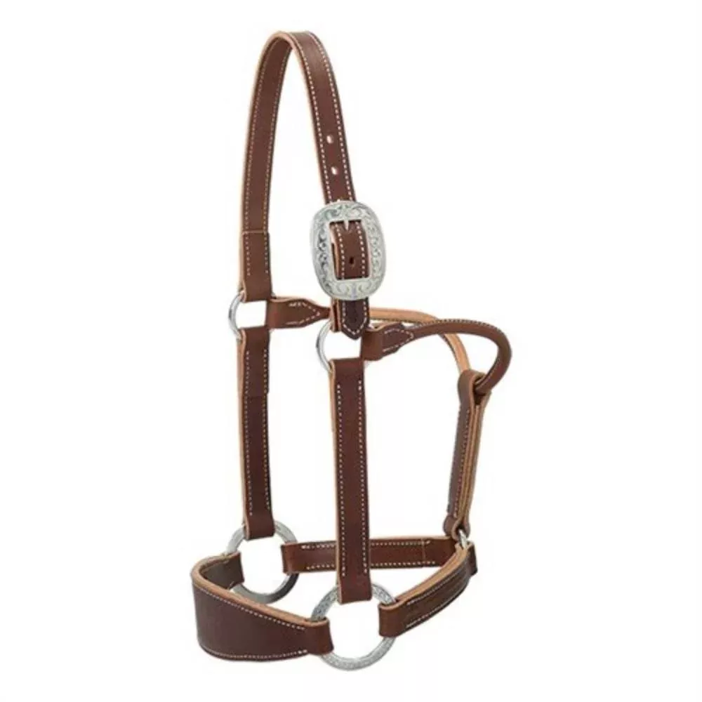 Stacy Westfall Bronc Halter by Weaver