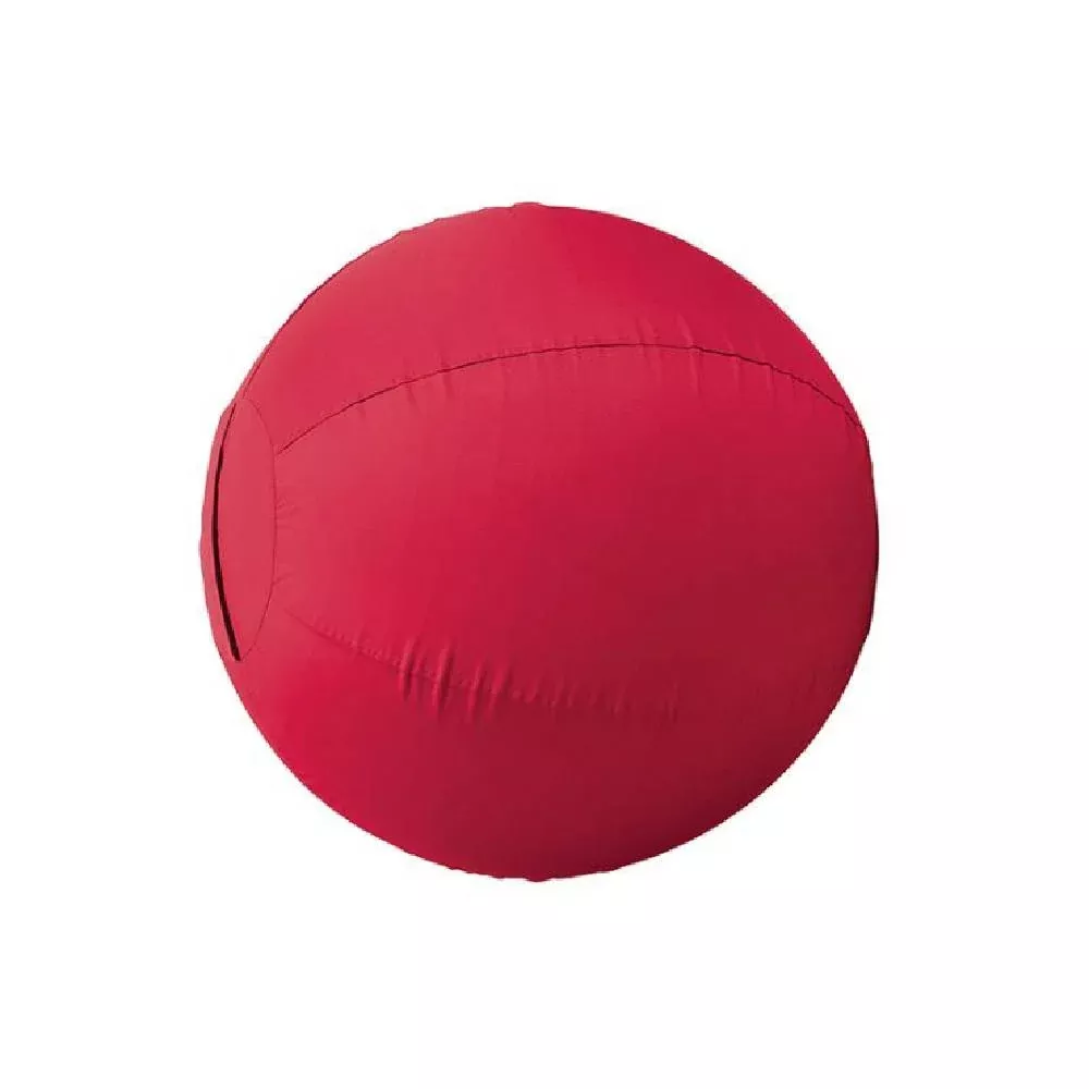 Stacy Westfall Large Activity Ball Cover