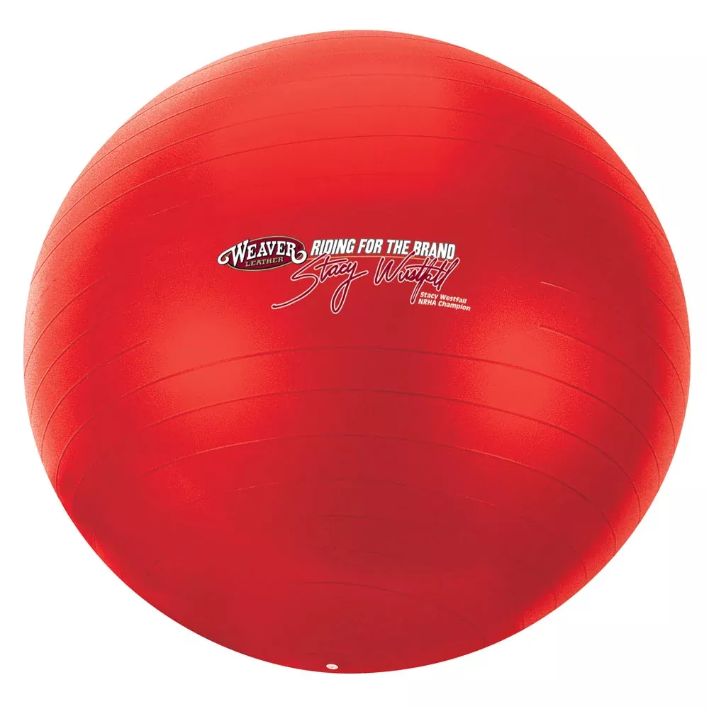Stacy Westfall Large Activity Ball