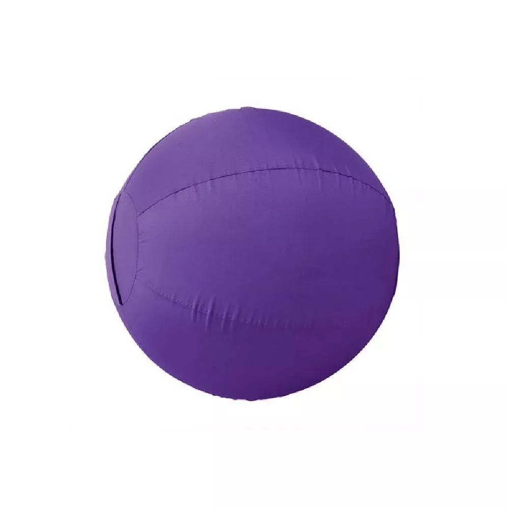 Stacy Westfall Small Activity Ball Cover