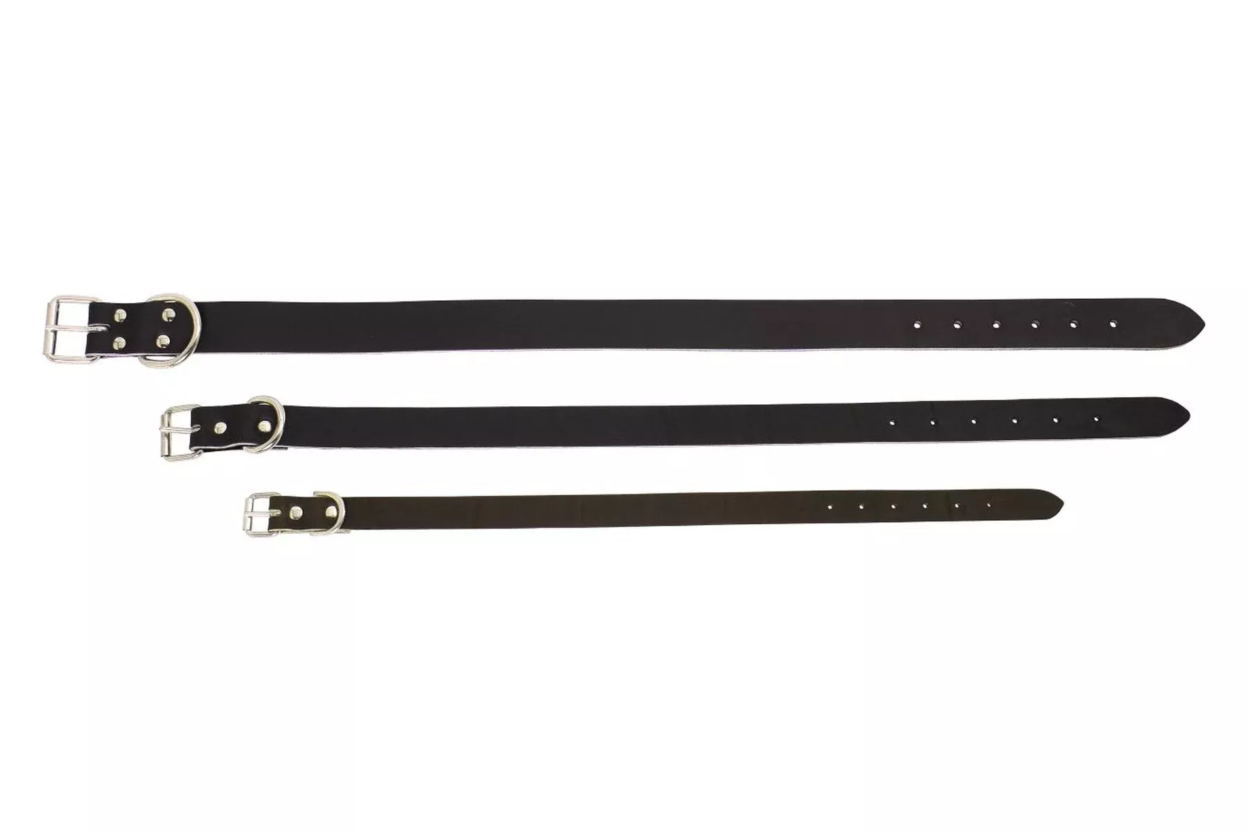 Standard Leather Dog Collar
