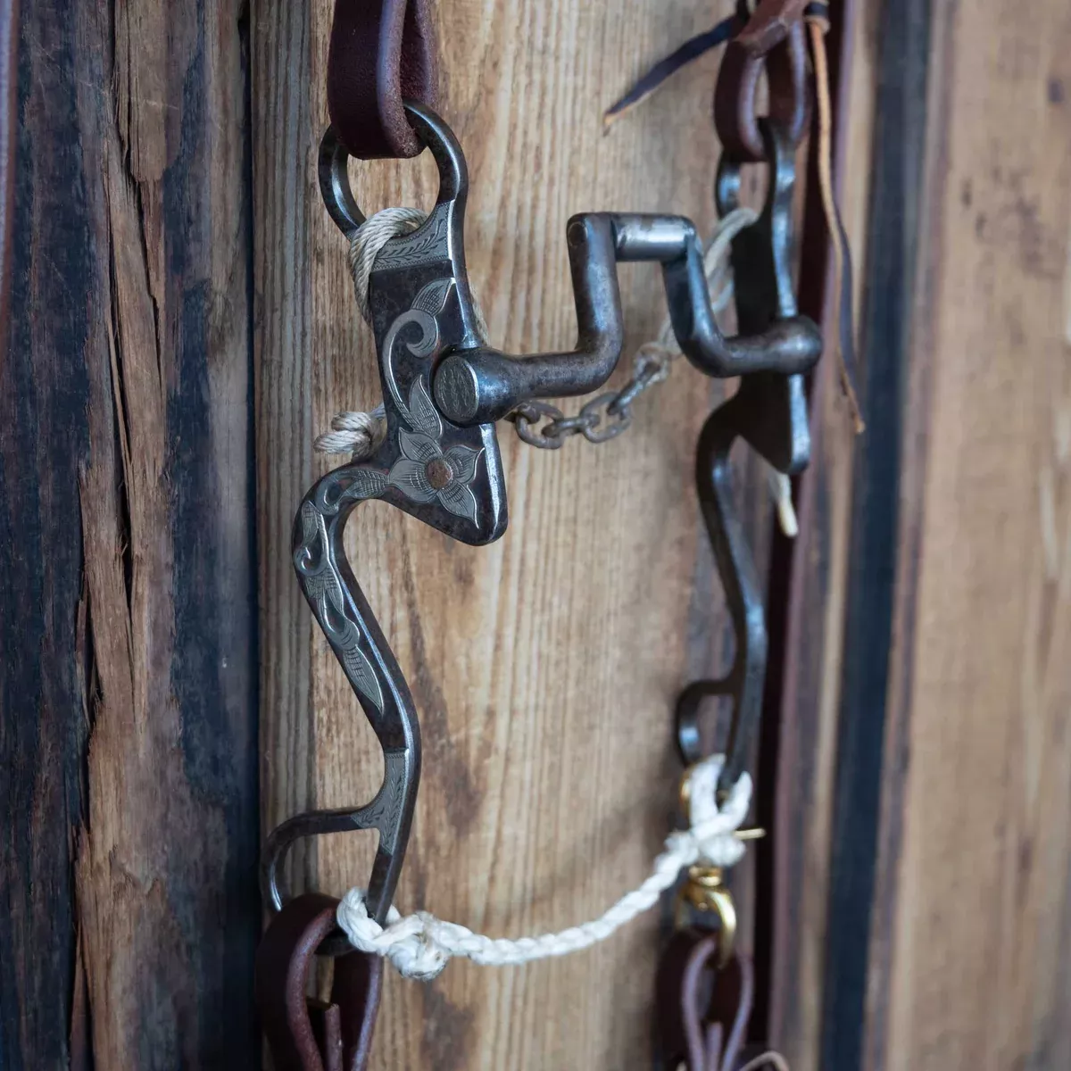 Steven White Hinge Port Bridle Rig w/All New Leather
