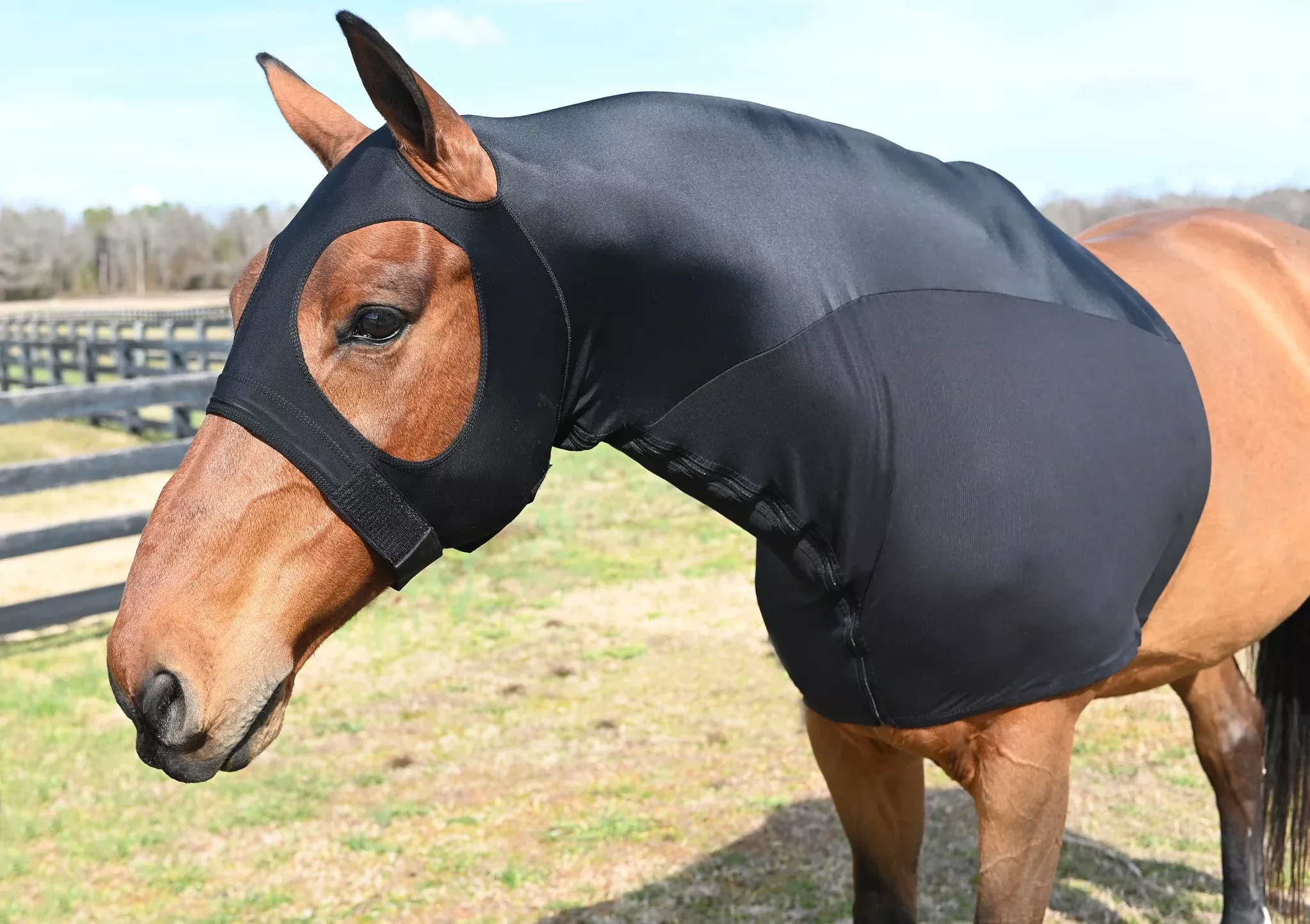 StretchX & Mesh Hybrid Full Separating Zipper Slicker Hood