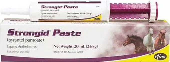 Strongid Paste Equine Dewormer (Pyrantel Pamoate), 20 mL