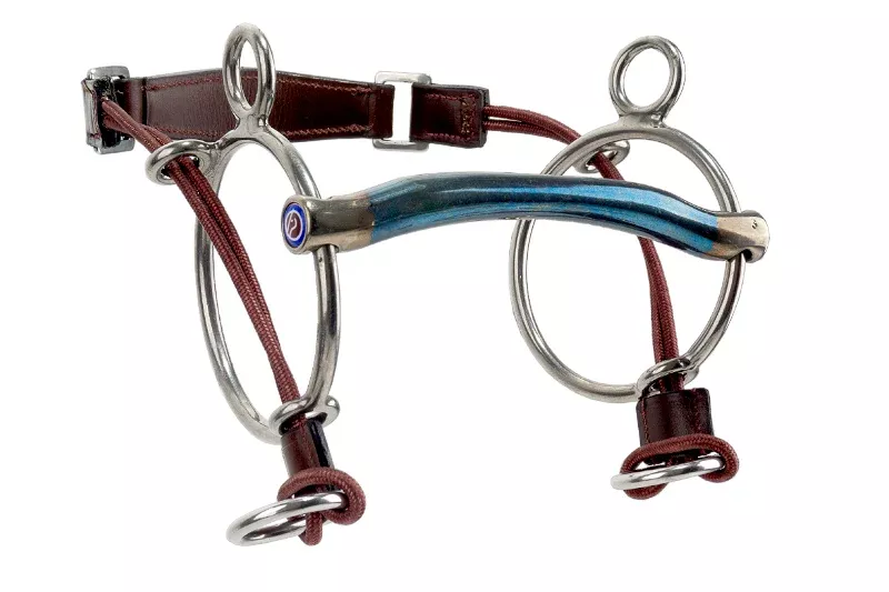 Sweet Iron Curbgag Arched