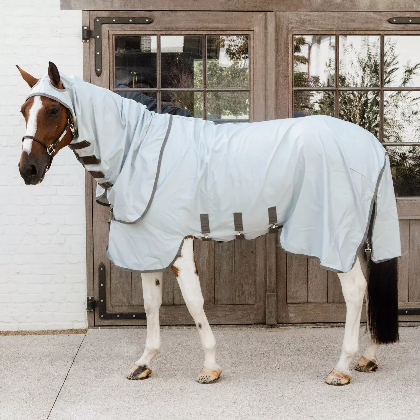 Sweet Itch Eczema Rug
